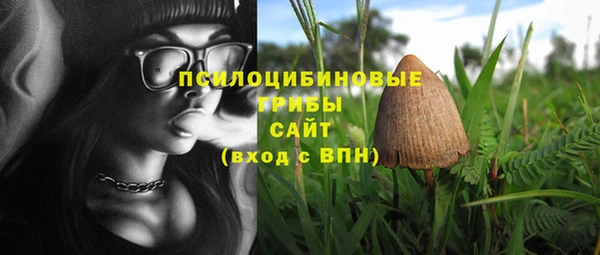 гашиш Горнозаводск