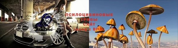 мдпв Горно-Алтайск