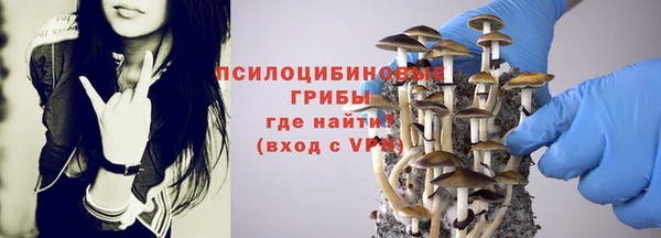 гашиш Горнозаводск