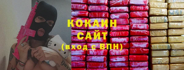 мдпв Горно-Алтайск