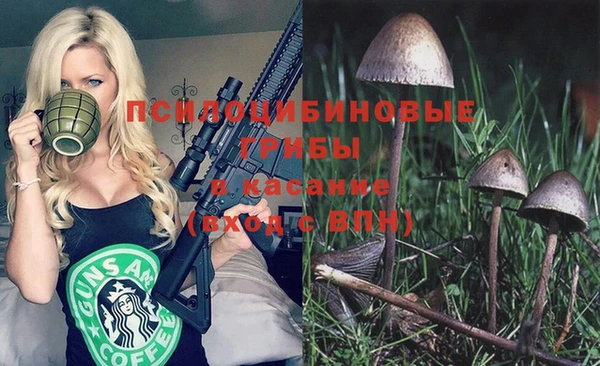гашиш Горнозаводск