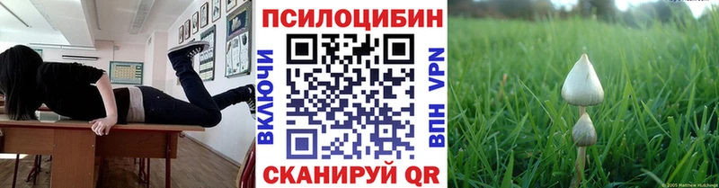 Галлюциногенные грибы GOLDEN TEACHER  Купить где  Мензелинск 